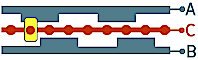 encoder_wave
